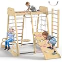 BlueWood Upgraded Indoor Jungle Gym 9-in-1 Playground Kids Climbing Toys