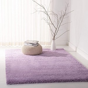 Urban Modern Decor Featuring Soft Shaggy Carpet