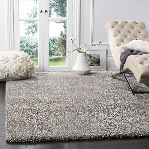Urban Modern Decor Featuring Soft Shaggy Carpet
