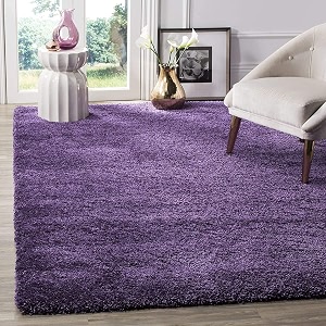 Urban Modern Decor Featuring Soft Shaggy Carpet