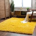 Urban Modern Decor Featuring Soft Shaggy Carpet