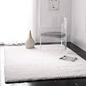 Urban Modern Decor Featuring Soft Shaggy Carpet