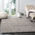Urban Modern Decor Featuring Soft Shaggy Carpet