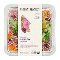 Urban Remedy Organic Rainbow Salad, 7.5 oz