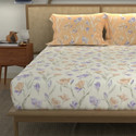 Urban Space Cotton Double Flat 144 TC Printed 1 Bedsheet with 2 Pillow Covers