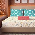 Urban Space Festive Gifting Set 100