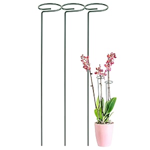 urbanmaali 16 inches metal plant stakes pack of 3  single stem flower plant support  garden plant trellis for amaryllis orchid lily rose tomatoes