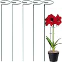 URBANMAALI 16 inches Metal Plant Stakes, Pack of 5 | Single Stem Flower Plant Support | Garden Plant Trellis for Amaryllis Orchid Lily Rose Tomatoes