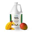 Mango Artificial Turf Cleaner for Pet Urine Outdoor - Bulk Scented Enzyme Odor Eliminator and Dog Urine Deodorizer for Synthetic Grass, 1 Gallon