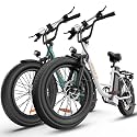 URLIFE Electric Bike for Adult, 20" Fat Tire Electric Bike, 80 Miles Long Range Ebike, 48V 13AH Battery, 7-Speed, Front Suspension All-Terrain E-Bike, UL 2849 Certified