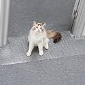 Uross Carpet Protector for Pets - Anti-Scratch Mat for Doorway, Easy to Cut Plastic Scratch Stopper, Cat Guard for Under Door, 3.6FT-Silver