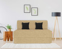 USHA SHRIRAM Folding 1 Seater Single Foam Fold Out Sofa Cum Bed (Finish Color - Beige Delivery Condition - DIY(Do-It-Yourself))
