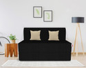 USHA SHRIRAM Folding 1 Seater Single Foam Fold Out Sofa Cum Bed (Finish Color - Black Delivery Condition - DIY(Do-It-Yourself))