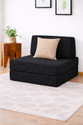 USHA SHRIRAM Folding 1 Seater Single Foam Fold Out Sofa Cum Bed