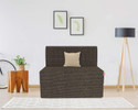 USHA SHRIRAM Folding 1 Seater Single Foam Fold Out Sofa Cum Bed