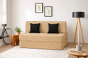 USHA SHRIRAM Folding 2 Seater Double Foam Fold Out Sofa Cum Bed