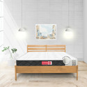 USHA SHRIRAM Rizewell Bamboo Fabric at FACTORY RATE 10 inch Queen Pocket Spring Mattress (L x W: 75 inch x 60 inch)