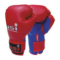 usi Boxing Gloves , Bouncer Boxing Gloves, Boxing Gloves For Men, Vinyl & Mesh, 8oz Boxing Gloves
