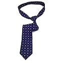 UTF Men’s Polyester Tie for Wedding Party &amp; Business Meeting Formal Tie (PC)