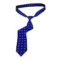 UTF Men’s Polyester Tie for Wedding Party &amp; Business Meeting Formal Tie (PC)