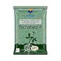 Utkarsh Trichoderma Harzianum 1% WP 2 x 10^6 CFU/gm min. for Plants, Crops and Home Gardening - Trichoherz-P (1 Kg; Pack of 1)