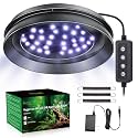 UVB Light for Reptiles with Dimming, LED UVB Light Bulb Fixture for Bearded Dragon Gecko Lizard Turtle Snake, Adjustable Brightness UVA UVB Lamp for Tropical &amp; Desert Reptile Tank Accessories 8W Grey