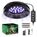 UVB Light for Reptiles with Dimming, LED UVB Light Bulb Fixture for Bearded Dragon Gecko Lizard Turtle Snake, Adjustable Brightness UVA UVB Lamp for Tropical &amp; Desert Reptile Tank Accessories 6W Black