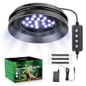 UVB Light for Reptiles with Dimming, LED UVB Light Bulb Fixture for Bearded Dragon Gecko Lizard Turtle Snake, Adjustable Brightness UVA UVB Lamp for Tropical &amp; Desert Reptile Tank Accessories 6W Grey