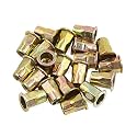 uxcell 20 Pcs M8 Car Bronze Tone Carbon Steel Thread Half Hexagonal Rivet Nut