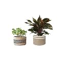 V.V.S. Enterprises Jute &amp; Cotton Basket, Handcrafted Woven Storage Planter Basket for Home Decor, Multi-Purpose Bag for Living Room gvm Office (10 * 12) Inches, (Pack of 2)