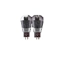 Vacuum Tube Rectifier 6CA7 300B KT88 6SN7 2A3 274B 6SL7 Electron Vacuum Tube Art Series EL34 5881 4300B 6550 6N8P CV181(2pcs Matched 2a3)