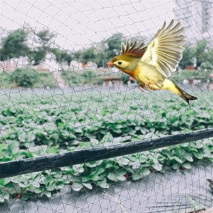 vahi bird net  anti bird net pigeon net  window balconies jali birds control nets uv stabilised hdpe nylon netting solution installation kit included - 8 ft x 16 ft 24384cm x 48768cm - black