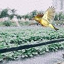 Vahi Bird Net | Anti Bird Net |Pigeon Net | Window Balconies Jali |Birds Control Nets UV Stabilised HDPE Nylon Netting Solution Installation Kit Included - 10 Ft X 35 Ft (304.8cm x 1066.8cm) - Black