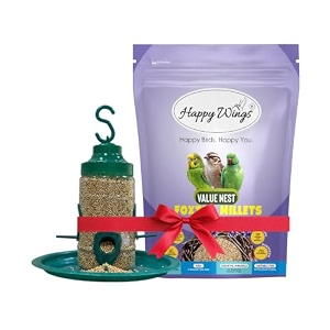 value nest combo 1 hanging feeder amp 1kg foxtail millet kangni bird food