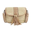 Van Caro Handwoven Cotton Straw Shoulder Bag Crochet Tassel Beach Bohemian Purse for Women