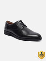 VAN HEUSEN Lace Up For Men