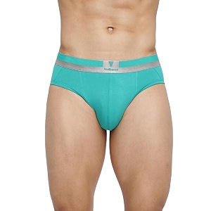 van heusen men briefs