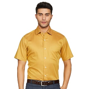 Van Heusen Mens Regular Shirt VHSH318M008211 Beige