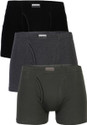 VAN HEUSEN Men Antibacterial And Colour Fresh