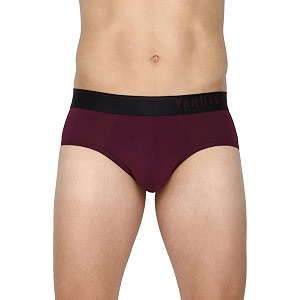 van heusen men briefs