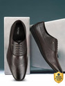 VAN HEUSEN Oxford For Men