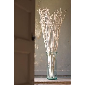 vanchai 3034 long real white curly willow stems - pack of 10 stem dried sticks for decor