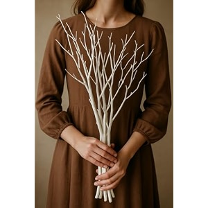 vanchai 20 stem 3034 long real white curly willow decor - dried willow stems sticks pack of 20