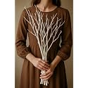 Vanchai 20 STEM 30" Long Real White Curly Willow Decor - Dried Willow, Stems, Sticks. (Pack of 20)