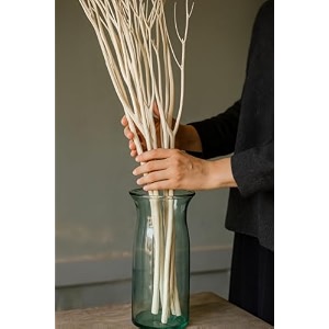 5 stem 3034 long real dried white curly willow decor natural wood diffuser stems stick for vasenatural decor for home office living room wedding party diy crafts modern decorations