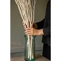 5 STEM 30" Long Real Dried White Curly Willow Decor, Natural Wood Diffuser Stems Stick for Vase,Natural Decor for Home, Office, Living Room, Wedding, Party, DIY Crafts, Modern Decorations