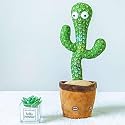 VanityX Talking Cactus Toy for Kids Dancing Cactus Toys, Singing, Wriggling, Recording & Repeating Plush Baby Toy Funny Educational Musical Toy for Toddlers, Boys & Girls Interactive Home Décor Gift