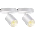 VANoopee Flush Mount LED Ceiling Spotlight Dimmable 10W 3000K White 2 Pack