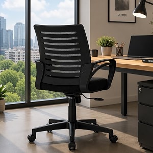 Varaha Aroha BIS Certified Ergonomic Office Study