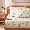 VAS COLLECTIONS 240 TC Premium Fitted Bedsheet